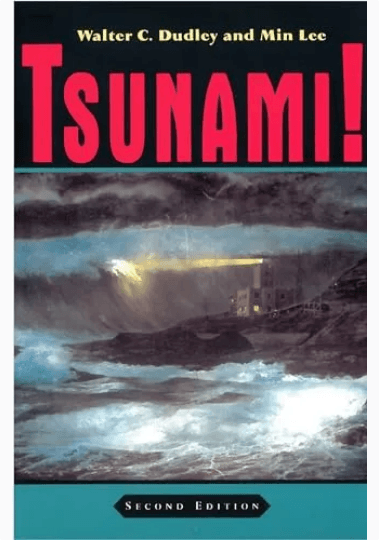 Tsunami