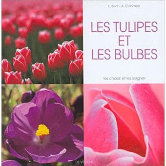 Tulipes et les bulbes