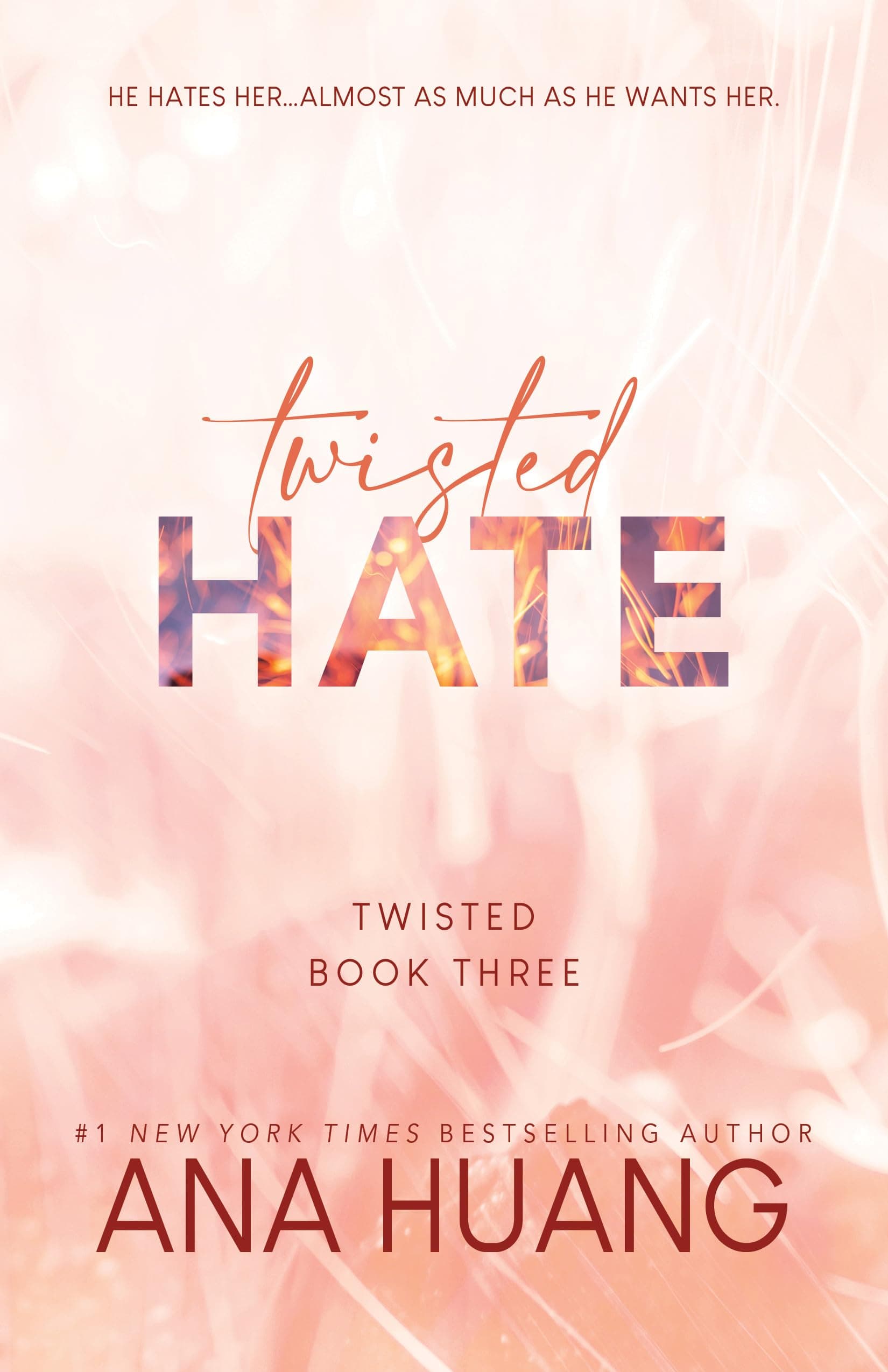 Twisted hate book 3