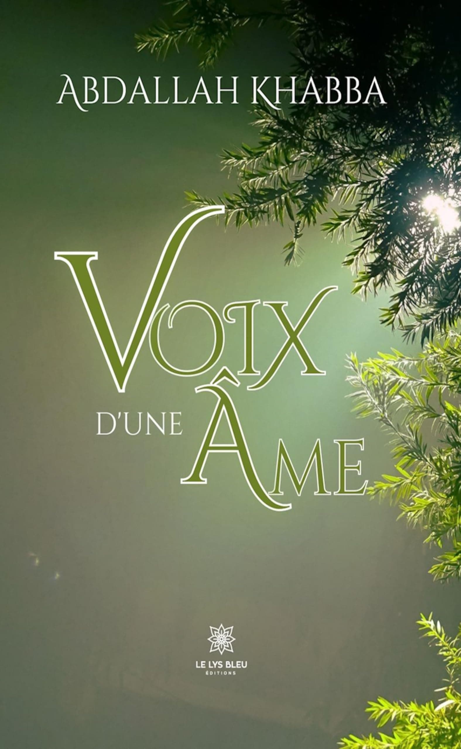 Voix d'une ame DP